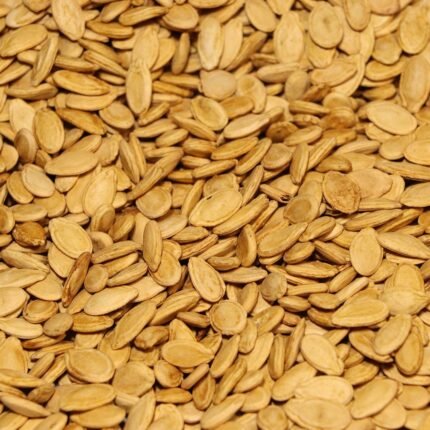 حب سوبر مالح