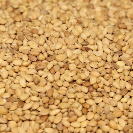 محلب صب ايراني